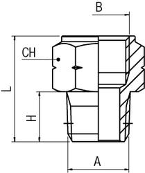 ADAPTER FEMALE BSP - MALE NPTF