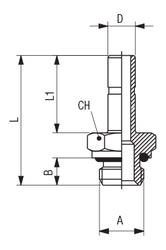 STRAIGHT-MALE-ADAPTOR-WITH-EXAGON-EMBEDDED-fullWidthMobile